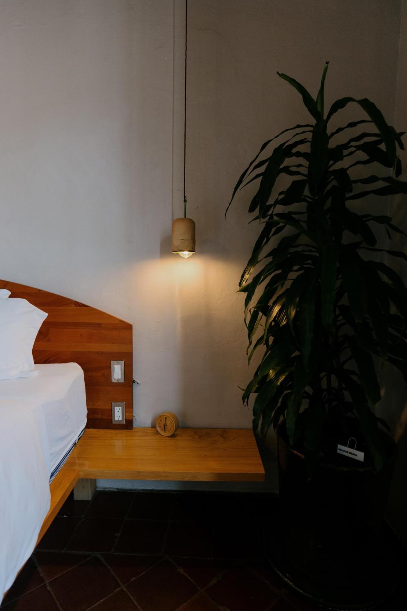 Grana B&B Oaxaca Екстер'єр фото